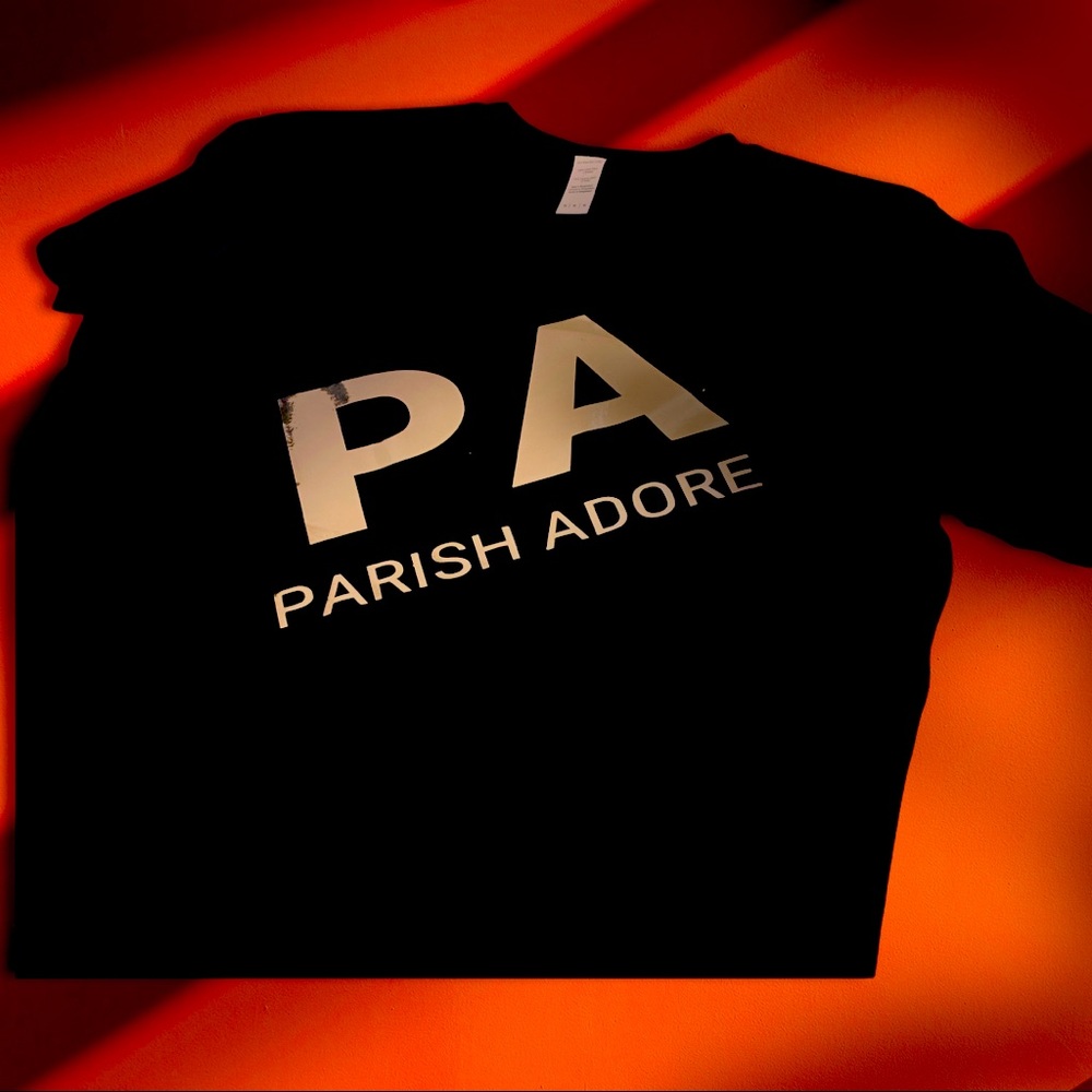 Men’s v neck silver and black PA T-shirts